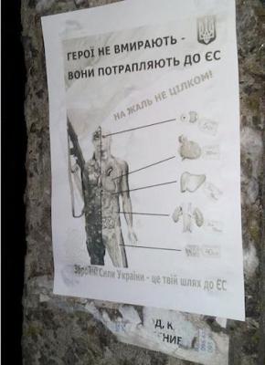 Прикрепленное изображение: heroi.jpg